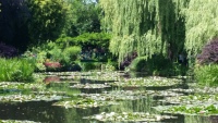 Giverny - pond and water lillies